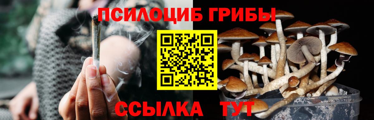 Выборг  Галлюциногенные грибы прущие грибы  Вход с VPN  Галлюциногенные грибы MAGIC MUSHROOMS 